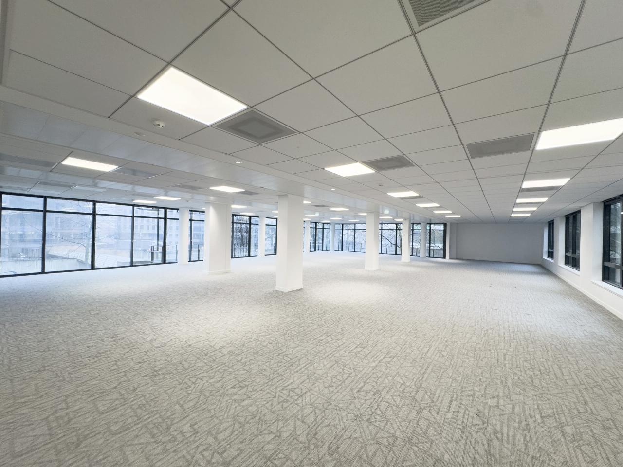 Bureau La Plaine Saint-Denis 4578m² Location bureau La Plaine Saint-Denis Seine-Saint-Denis OLBUR2100334 11